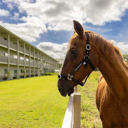 The Club Hotel At Goffs ネース エクステリア 写真